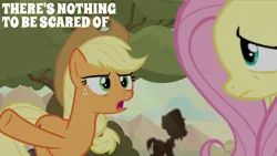 Size: 2000x1125 | Tagged: safe, derpibooru import, edit, edited screencap, editor:quoterific, screencap, applejack, fluttershy, earth pony, pegasus, pony, sounds of silence, duo, duo female, female, image, mare, png, quote, raised hoof