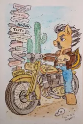 Size: 1387x2048 | Tagged: safe, artist:daisymane, derpibooru import, oc, oc:dusty katt, unofficial characters only, earth pony, pony, bipedal, cactus, image, jpeg, motorcycle, road sign, solo, traditional art