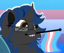 Size: 1800x1500 | Tagged: safe, artist:starcasteclipse, derpibooru import, oc, oc:sweet scribe, changeling, pony, changeling oc, commission, image, png, pride, pride flag, pride month, solo, transgender pride flag, ych result