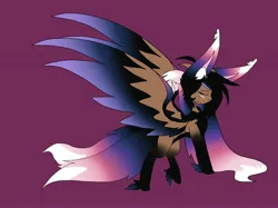 Size: 2732x2048 | Tagged: safe, artist:bunfoxx20studios, derpibooru import, oc, oc:alexus nictivia, pegasus, pony, colorful, cute, image, jpeg, large wings, multiple tails, solo, spread wings, tail, two tails, wings