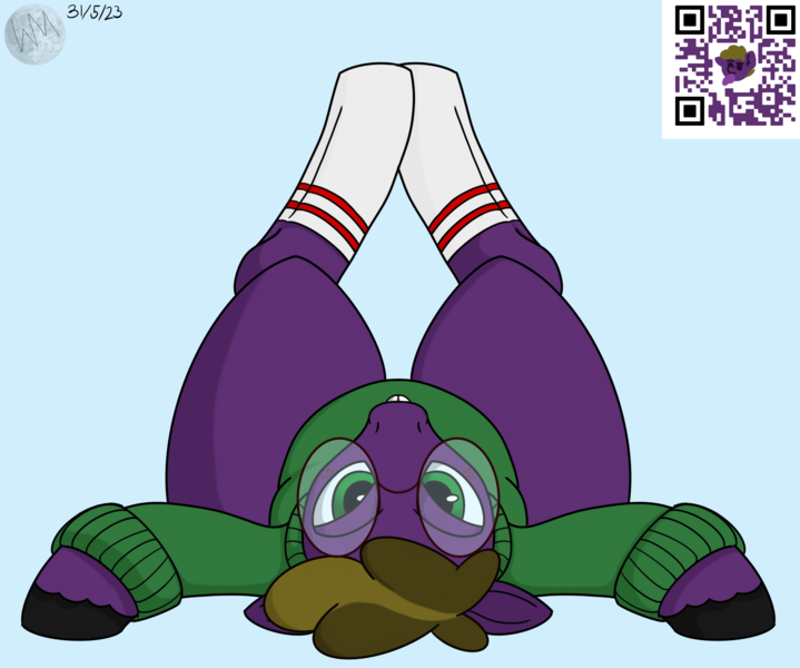 Size: 1642x1371 | Tagged: suggestive, artist:wyntermoon, derpibooru import, oc, oc:wyntermoon, bedroom eyes, bucktooth, clothes, glasses, image, looking at you, lying down, male, multicolored hair, nerd, on back, png, shortstack, socks, solo, solo male, sweater, thicc thighs, wide hips