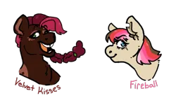Size: 780x500 | Tagged: safe, artist:sunbitten, derpibooru import, oc, oc:fireball, oc:velvet kisses, earth pony, pony, braid, bust, duo, female, image, mare, name, offspring, open mouth, open smile, parent:cheese sandwich, parent:pinkie pie, parent:quibble pants, parent:rainbow dash, parents:cheesepie, parents:quibbledash, png, smiling, tooth gap, torn ear