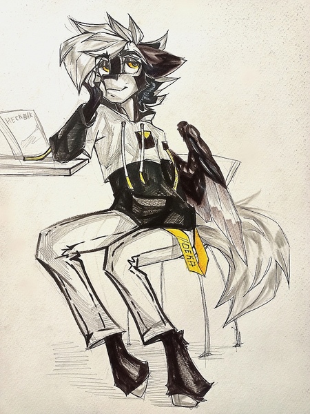 Size: 960x1280 | Tagged: safe, artist:tlen borowski, derpibooru import, oc, oc:deka, unofficial characters only, anthro, pegasus, unguligrade anthro, belt, clothes, colored wings, hoodie, image, jpeg, pegasus oc, sitting, sketch, traditional art, two toned coat, two toned mane, two toned wings, wings