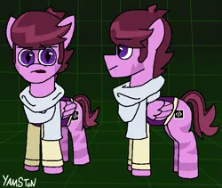 Size: 809x682 | Tagged: safe, artist:yamston, derpibooru import, oc, unofficial characters only, pegasus, pony, zebra, 2023, clothes, green background, grid, image, living the dream, male, pegasus oc, pink coat, png, purple eyes, scarf, simple background, slit pupils, solo, stallion, stripes, sweater vest, wings