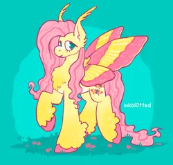 Size: 1481x1416 | Tagged: safe, derpibooru import, fluttershy, insect, moth, mothpony, original species, chest fluff, colored hooves, ear fluff, flower, image, jpeg, moth wings, pink hooves, pink mane, raised leg, smiling, solo, spread wings, unshorn fetlocks, wings, yellow fur