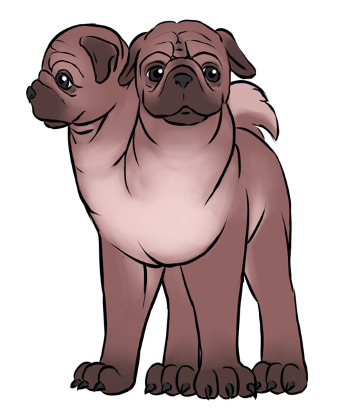 Size: 971x1170 | Tagged: safe, artist:multiverseequine, derpibooru import, oc, oc:crunch, unofficial characters only, dog, pug, daybreak island, derpibooru exclusive, image, male, multiple heads, non-pony oc, png, simple background, standing, transparent background, two heads