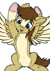 Size: 2480x3508 | Tagged: safe, artist:db, derpibooru import, oc, oc:buttercup, pegasus, pony, image, png, silly, silly pony, solo, tongue out