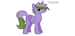 Size: 880x431 | Tagged: safe, derpibooru import, oc, oc:harper, unofficial characters only, alicorn, pony, base used, genderqueer, genderqueer pride flag, green eyes, image, png, pride, pride flag, purple coat, simple background, solo, striped mane, striped tail, tail, text, two toned mane, two toned tail, white background