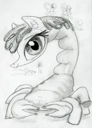 Size: 2872x4000 | Tagged: safe, artist:ja0822ck, derpibooru import, oc, ponified, unofficial characters only, hybrid, pony, scorpion, scorpion pony, image, jpeg, monochrome, simple background, sketch, traditional art, wat