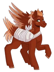 Size: 2100x2800 | Tagged: safe, artist:kikirdcz, derpibooru import, oc, oc:pavlos, ponified, unofficial characters only, pegasus, pony, bandage, broken bone, broken wing, cast, colored hooves, colored wings, freckles, image, injured, one wing out, pain, png, short tail, simple background, sling, solo, tail, transparent background, unshorn fetlocks, wings