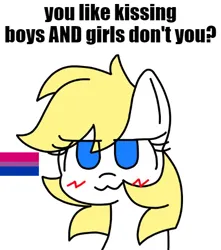 Size: 500x566 | Tagged: safe, artist:aryannespetfemboy, derpibooru import, oc, oc:aryanne, earth pony, pony, bisexual, bisexual female, bisexual pride flag, female, flag, image, meme, nazipone, png, pride, pride flag