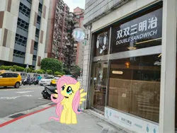 Size: 3344x2508 | Tagged: safe, derpibooru import, fluttershy, pony, image, irl, jpeg, photo, ponies in real life, solo, taipei, taiwan