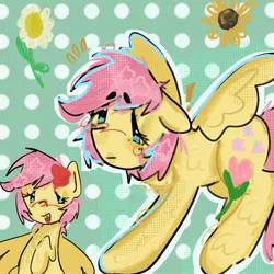 Size: 2048x2048 | Tagged: safe, artist:stanleyiffer, derpibooru import, fluttershy, pegasus, pony, blushing, image, jpeg, solo, spread wings, text, wings