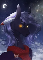 Size: 2007x2793 | Tagged: safe, artist:lastaimin, derpibooru import, oc, oc:cloudy night, pegasus, pony, bust, female, image, mare, moon, night, png, portrait, solo