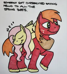 Size: 1851x2048 | Tagged: safe, artist:hoofclid, derpibooru import, big macintosh, fluttershy, earth pony, pegasus, pony, carrying, cute, duo, duo male and female, female, fluttermac, fluttershy riding big macintosh, image, jpeg, macabetes, male, mare, onomatopoeia, ponies riding ponies, riding, shipping, shyabetes, sound effects, stallion, straight, traditional art, zzz