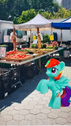 Size: 576x1024 | Tagged: safe, artist:trying_bluebell, derpibooru import, bow hothoof, fluttershy, rainbow dash, animated, blind bag pony, explosion, image, irl, mobile phone, phone, photo, speech bubble, suddenly hands, the lonely island, threw it on the ground (the lonely island), throwing, tiktok, webm
