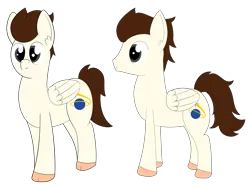 Size: 4000x3000 | Tagged: safe, artist:polynya, oc, oc:cygnus, unofficial characters only, pegasus, pony, image, male, pegasus oc, png, profile, simple background, stallion, transparent background, unshorn fetlocks, wings