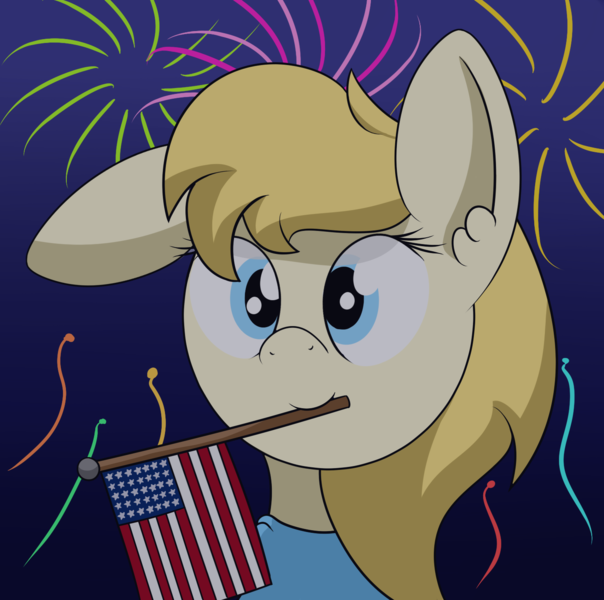 Size: 1420x1411 | Tagged: safe, artist:polynya, oc, oc:amy, unofficial characters only, pony, 4th of july, bust, fireworks, flag, floppy ears, holiday, image, looking at you, mouth hold, png, usa flag