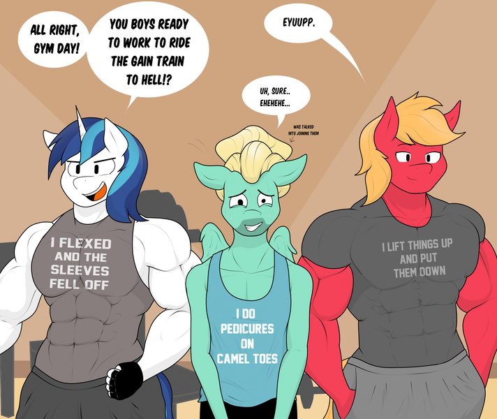 Size: 2091x1762 | Tagged: safe, artist:matchstickman, derpibooru import, big macintosh, shining armor, zephyr breeze, anthro, earth pony, pegasus, unicorn, abs, biceps, clothes, deltoids, dialogue, great macintosh, gym, image, male, muscles, muscular male, nervous, pecs, png, shirt, sleeveless, speech bubble, swelling armor, trio
