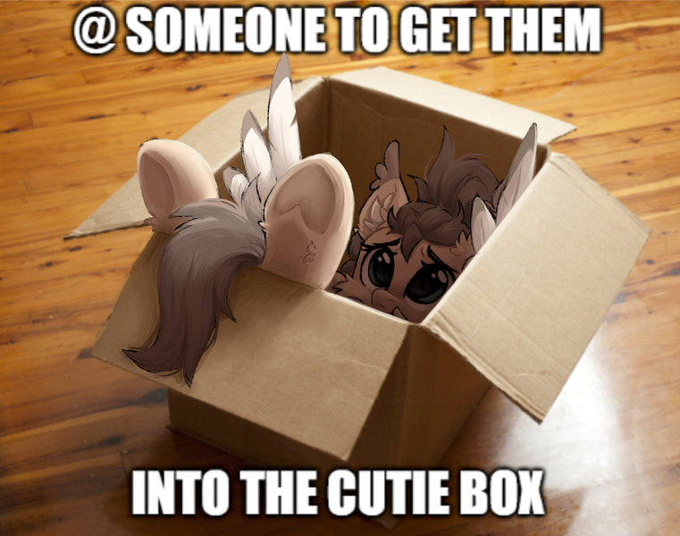 Size: 2116x1668 | Tagged: safe, artist:dorkmark, derpibooru import, oc, oc:dima, unofficial characters only, pegasus, pony, :<, box, ear fluff, image, meme, png, pony in a box, solo, wings