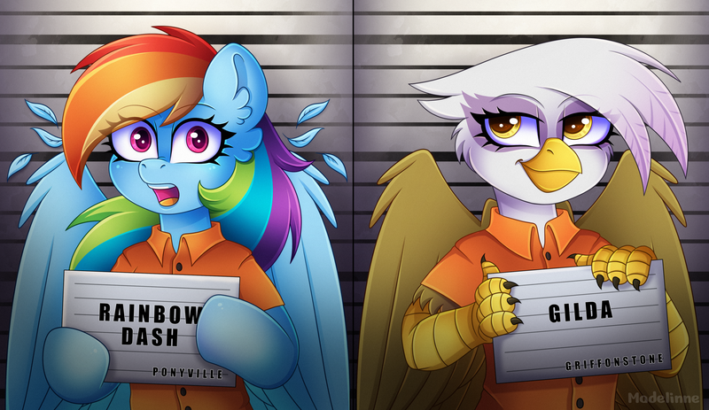 Size: 4200x2431 | Tagged: safe, artist:madelinne, derpibooru import, gilda, rainbow dash, gryphon, pegasus, pony, barbie mugshot meme, clothes, duo, halfbody, image, jail, meme, mugshot, png, prison outfit, prisoner gilda, prisoner rd, smiling, surprised