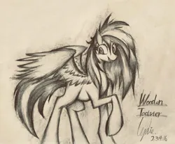 Size: 2048x1692 | Tagged: safe, artist:lydia, derpibooru import, oc, oc:wooden toaster, pegasus, pony, glaze, image, jpeg, looking at you, paper, pencil, pencil drawing, raised hoof, sketch, smiling, smiling at you, solo, spread wings, standing, traditional art, wings