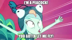 Size: 888x499 | Tagged: safe, derpibooru import, lyra heartstrings, bird, peacock, all's fair in love and friendship games, equestria girls, image, jpeg, mark wahlberg