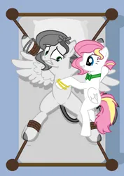 Size: 1536x2166 | Tagged: safe, artist:equestria secret guard, derpibooru import, oc, oc:tabata, unofficial characters only, pegasus, pony, armpits, bed, belly, belly button, bondage, couple, duo, featureless crotch, female, gritted teeth, helpless, image, male, mare, not pipp petals, pegasus oc, png, sexy, spread eagle, spread legs, spreading, straight, teeth, tied to bed, tied up, wings