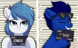 Size: 3915x2426 | Tagged: safe, artist:joaothejohn, derpibooru import, oc, oc:deevfactor, oc:starlie, unofficial characters only, earth pony, pegasus, pony, barbie (film), barbie mugshot meme, commission, cute, duo, image, looking at you, looking up, meme, mugshot, one eye closed, pegasus oc, png, sign, smiling, sunglasses, text, wings, wink