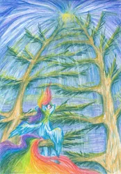 Size: 1280x1844 | Tagged: safe, artist:liz-kotlin, derpibooru import, rainbow dash, pegasus, pony, colored pencil drawing, image, jpeg, sky, solo, sun, traditional art, tree