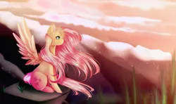 Size: 4000x2375 | Tagged: safe, artist:insaheart, derpibooru import, fluttershy, pegasus, pony, cloud, cloudy, ear fluff, female, frown, high res, image, jpeg, mare, princewhateverer, profile, rock, sitting, solo, spread wings, sunset, wind, windswept mane, wings