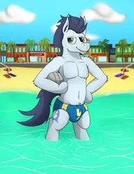 Size: 3866x5000 | Tagged: suggestive, artist:tacomytaco, derpibooru import, soarin', pegasus, pony, semi-anthro, ball, beach, belly button, clothes, crotch bulge, image, looking at you, male, png, solo, solo male, speedo, sports, standing, swimsuit, underwear, volleyball