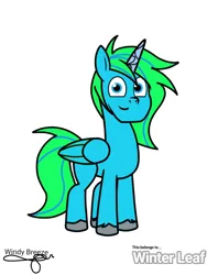 Size: 768x1024 | Tagged: safe, artist:windy breeze, derpibooru import, oc, oc:winter leaf, unofficial characters only, alicorn, pony, g5, spoiler:g5, image, male, png, stallion