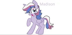 Size: 903x448 | Tagged: safe, derpibooru import, oc, oc:madison, unofficial characters only, alicorn, pony, base used, bigender, bigender pride flag, image, multicolored eyes, multicolored hair, multicolored tail, open mouth, open smile, png, pride, pride flag, purple coat, simple background, smiling, solo, tail, text, white background