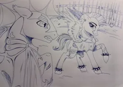 Size: 1280x901 | Tagged: artist needed, safe, rainbow dash, oc, oc:dash vendar, bat pony, pegasus, pony, fanfic:broken toy, female, illustration, image, jpeg, looking at each other, male, mare, monochrome, spread wings, stallion, traditional art, wings