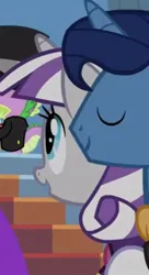 Size: 444x817 | Tagged: safe, derpibooru import, screencap, night light, spike, twilight velvet, pony, a canterlot wedding, ascot, canterlot, canterlot castle, clothes, cropped, delighted, dress, excited, eyes closed, father, female, formal wear, happy, hat, image, jpeg, male, mare, marriage, mother, parent, ring bearer, royal wedding, smiling, stallion, steps, suit, top hat, tuxedo, wedding