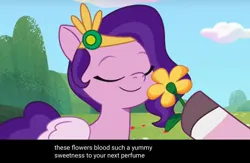 Size: 2048x1339 | Tagged: safe, derpibooru import, edit, edited screencap, screencap, pipp petals, earth pony, pegasus, pony, g5, my little pony: tell your tale, a day in the life, caption, dahlia, duo, eyes closed, female, flower, image, jewelry, jpeg, mare, meme, raised hoof, smelling, smiling, solo focus, tiara, weird, youtube caption