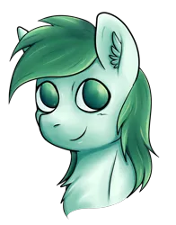 Size: 2000x2548 | Tagged: safe, artist:coco-drillo, derpibooru import, oc, oc:herald flame, unofficial characters only, pegasus, pony, bust, chest fluff, ear fluff, green eyes, image, looking at you, male, pegasus oc, png, portrait, simple background, smiling, smiling at you, solo, stallion, transparent background, wings