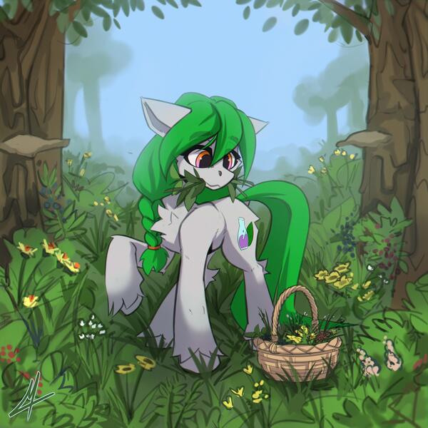 Size: 5000x5000 | Tagged: safe, artist:midnightflight, derpibooru import, oc, oc:nattle flake, unofficial characters only, earth pony, pony, earth pony oc, flower, fog, forest, grass, image, jpeg, solo, tree