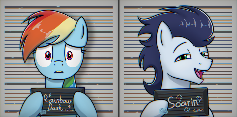 Size: 4210x2090 | Tagged: safe, artist:marakoru_luv, artist:marakoruluv, derpibooru import, rainbow dash, soarin', pegasus, pony, barbie mugshot meme, duo, female, high res, image, male, mare, meme, mugshot, name, png, shipping, soarindash, stallion, straight