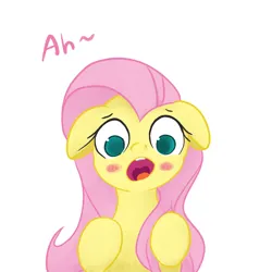 Size: 3000x3000 | Tagged: safe, artist:widelake, derpibooru import, fluttershy, blushing, female, image, open mouth, png, simple background, solo, white background, worried