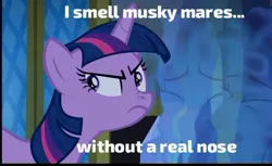Size: 440x269 | Tagged: safe, derpibooru import, edit, edited screencap, screencap, starlight glimmer, trixie, alicorn, changeling, pony, unicorn, friendship is magic, to where and back again, close-up, duo, duo female, eyes closed, fake twilight, female, image, invisible, jpeg, male, mare, nose wrinkle, nostril flare, nostrils, scared, smell, smelling, smelling near, sniffing, sniffing near, transparent, twilight's castle