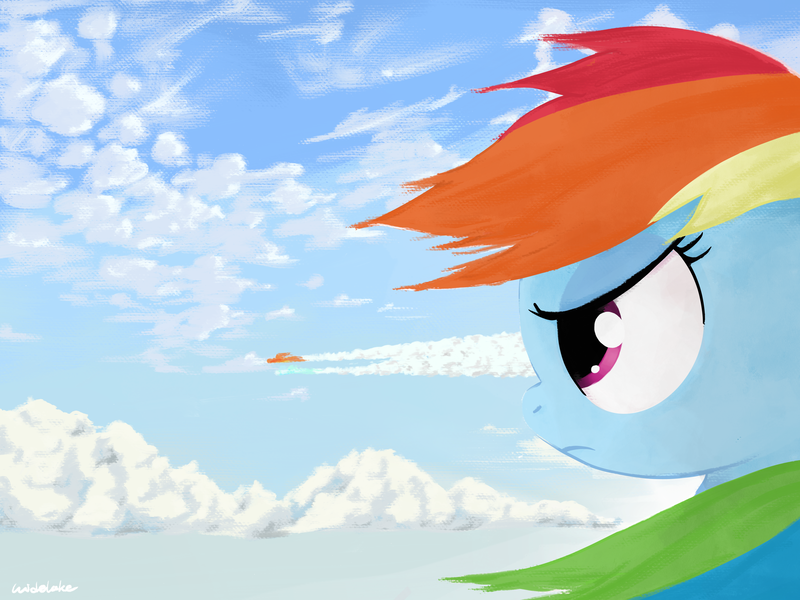 Size: 4000x3000 | Tagged: safe, artist:widelake, derpibooru import, rainbow dash, pegasus, cloud, contrail, image, loose hair, png, scenery, side view, sky, wind, wonderbolts