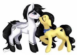 Size: 1280x904 | Tagged: safe, artist:ottava, derpibooru import, oc, unofficial characters only, earth pony, pegasus, pony, boop, duo, image, jpeg