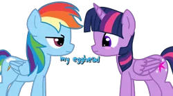 Size: 3000x1679 | Tagged: safe, artist:bright skie, derpibooru import, rainbow dash, twilight sparkle, twilight sparkle (alicorn), alicorn, pegasus, pony, duo, egghead, female, image, lesbian, png, shipping, twidash