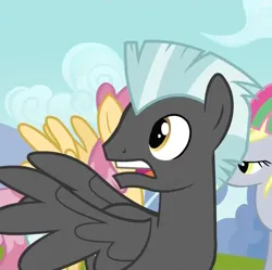 Size: 1084x1080 | Tagged: safe, derpibooru import, screencap, derpy hooves, dizzy twister, orange swirl, thunderlane, pegasus, pony, hurricane fluttershy, cropped, female, gasp, image, male, mare, open mouth, png, solo focus, spread wings, stallion, wings