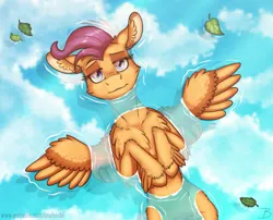 Size: 1800x1451 | Tagged: safe, artist:inuhoshi-to-darkpen, derpibooru import, scootaloo, pegasus, pony, cheek fluff, chest fluff, cloud, ear fluff, female, image, leaf, leg fluff, looking up, lying down, on back, png, reflection, sky, spread wings, unshorn fetlocks, water, wing fluff, wings