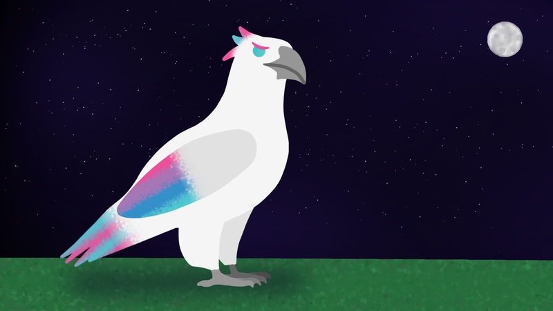 Size: 1920x1080 | Tagged: safe, artist:freestadiumtix, derpibooru import, zipp storm, bird, hawk, g5, beak, birdified, claws, colored wings, grass, image, manechat challenge, moon, multicolored wings, night, png, solo, species swap, wings