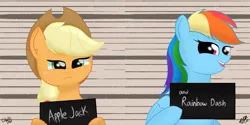 Size: 6000x3000 | Tagged: safe, artist:cobaltskies002, derpibooru import, applejack, rainbow dash, earth pony, pegasus, appledash, barbie mugshot meme, female, image, lesbian, meme, mugshot, png, shipping