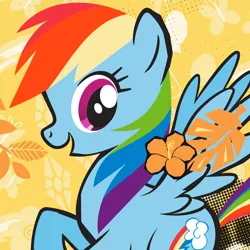 Size: 1000x1000 | Tagged: safe, derpibooru import, official, rainbow dash, pegasus, pony, abstract background, avatar, female, g4, image, jpeg, mare, solo